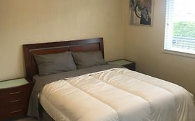 Spacious And Bright Large Suite With Separate Bathroom